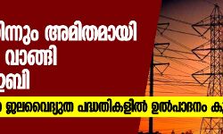 പുറത്തുനിന്നും അമിതമായി വൈദ്യുതി വാങ്ങി കെഎസ്ഇബി; സംസ്ഥാനത്ത് ഉൽപാദനം കുറയുന്നു പുറത്തുനിന്നും അമിതമായി വൈദ്യുതി വാങ്ങി കെഎസ്ഇബി; സംസ്ഥാനത്ത് ഉൽപാദനം കുറയുന്നു