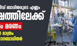 ലോകത്ത് കൊവിഡ് ബാധിതരുടെ എണ്ണം 51 ലക്ഷത്തിലേക്ക്; 3.29 ലക്ഷം മരണം, അമേരിക്കയില് മാത്രം 15.91 ലക്ഷം രോഗബാധിതര് ലോകത്ത് കൊവിഡ് ബാധിതരുടെ എണ്ണം 51 ലക്ഷത്തിലേക്ക്; 3.29 ലക്ഷം മരണം, അമേരിക്കയില് മാത്രം 15.91 ലക്ഷം രോഗബാധിതര്