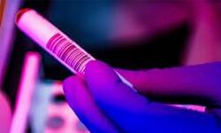 ഹരിയാനയില്‍ കൊവിഡ്-19 സ്ഥിരീകരിച്ചവരുടെ എണ്ണം 1,031ആയി