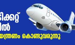 ആഭ്യന്തര വിമാനടിക്കറ്റ് നിരക്കില്‍ കേന്ദ്രം നിയന്ത്രണം കൊണ്ടുവരുന്നു