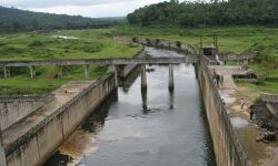 കാരാപ്പുഴ ഡാമിന്റെ ഷട്ടറുകള്‍ തുറക്കുന്നു; ജാഗ്രത പാലിക്കാന്‍ നിര്‍ദേശം