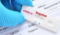 കൊവിഡ്: താമരശ്ശേരി സ്വകാര്യാശുപത്രി ജീവനക്കാരുടെ ഫലം നെഗറ്റീവ് കൊവിഡ്: താമരശ്ശേരി സ്വകാര്യാശുപത്രി ജീവനക്കാരുടെ ഫലം നെഗറ്റീവ്