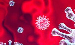 കോഴിക്കോട്ട് ഇന്ന് രോഗം സ്ഥിരീകരിച്ചത് തൂണേരി സ്വദേശിക്ക്