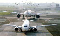 രാജ്യത്ത് ആഭ്യന്തര വിമാനസര്വീസുകള് പുനരാരംഭിച്ചു; ആദ്യവിമാനം പുറപ്പെട്ടത് ഡല്ഹിയില്നിന്ന് പൂനെയിലേക്ക് രാജ്യത്ത് ആഭ്യന്തര വിമാനസര്വീസുകള് പുനരാരംഭിച്ചു; ആദ്യവിമാനം പുറപ്പെട്ടത് ഡല്ഹിയില്നിന്ന് പൂനെയിലേക്ക്