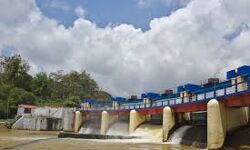 അരുവിക്കര ഡാം തുറക്കേണ്ടി വന്നേക്കും; ജാഗ്രത പാലിക്കണം