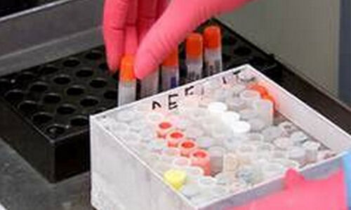 ഹരിയാനയില്‍ 21 പേര്‍ക്ക് കൊവിഡ് 19 സ്ഥിരീകരിച്ചു