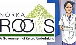 സൗദിയില്‍ നഴ്സുമാര്‍ക്ക് അവസരം; നോര്‍ക്ക എക്സ്പ്രസ് റിക്രൂട്ട്മെന്റ് ജൂണ്‍ മുതല്‍