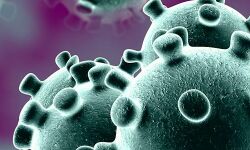 പ്രവാസികളോട് കാണിക്കുന്നത് കൊടുംവഞ്ചന: ഇന്ത്യന്‍ സോഷ്യല്‍ ഫോറം കേരള സംസ്ഥാന കമ്മിറ്റി