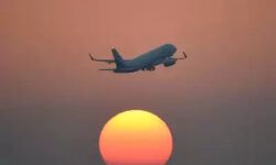 കൊവിഡ് 19: മസ്‌കത്തില്‍നിന്ന് 181 പ്രവാസികള്‍ കൂടി ജന്മനാട്ടിലെത്തി