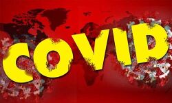 കോട്ടയം ജില്ലയില്‍ 243 പുതിയ കൊവിഡ് രോഗികള്‍; 240 പേര്‍ക്കും സമ്പര്‍ക്കം