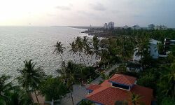 കണ്ണൂരില്‍ സംസ്ഥാന ശരാശരിയേക്കാള്‍ കൂടുതല്‍ കൊവിഡ് രോഗബാധ; രോഗവ്യാപനം അധികമായി വരുന്ന സ്ഥലങ്ങളില്‍ ട്രിപ്പിള്‍ ലോക്ക്ഡൗണ്‍ ആലോചിക്കും