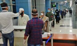 เดเตเดตเดฟเดกเต 19: เดฎเดธเตโเดเดคเตเดคเดฟเดฒเตโเดจเดฟเดจเตเดจเต 186 เดชเตเดฐเดตเดพเดธเดฟเดเดณเตโเดเตเดเดฟ เดฎเดเดเตเดเดฟเดฏเตเดคเตเดคเดฟ; เดเดดเตเดชเตเดฐเต เดเดถเตเดชเดคเตเดฐเดฟเดฏเดฟเดฒเดพเดเตเดเดฟ เดเตเดตเดฟเดกเต 19: เดฎเดธเตโเดเดคเตเดคเดฟเดฒเตโเดจเดฟเดจเตเดจเต 186 เดชเตเดฐเดตเดพเดธเดฟเดเดณเตโเดเตเดเดฟ เดฎเดเดเตเดเดฟเดฏเตเดคเตเดคเดฟ; เดเดดเตเดชเตเดฐเต เดเดถเตเดชเดคเตเดฐเดฟเดฏเดฟเดฒเดพเดเตเดเดฟ