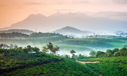 വയനാട്ടില് 3 പേര്ക്കുകൂടി കൊവിഡ് 19 സ്ഥിരീകരിച്ചു വയനാട്ടില് 3 പേര്ക്കുകൂടി കൊവിഡ് 19 സ്ഥിരീകരിച്ചു