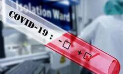 ആന്ധ്രയില്‍ 76 പേര്‍ക്ക് കൂടി കൊവിഡ് 19 സ്ഥിരീകരിച്ചു; പരിശോധനകളുടെ എണ്ണം വര്‍ധിപ്പിക്കും