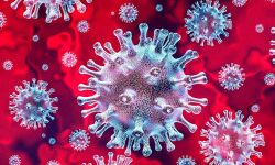 കടയ്ക്കലില് 2 ആരോഗ്യ പ്രവര്ത്തകര്ക്ക് കൊവിഡ് 19 സ്ഥിരീകരിച്ചു കടയ്ക്കലില് 2 ആരോഗ്യ പ്രവര്ത്തകര്ക്ക് കൊവിഡ് 19 സ്ഥിരീകരിച്ചു