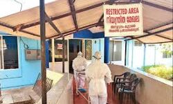 കൊവിഡ്; രോഗവിമുക്തരായി ഏഴ് പേര് കൂടി വീട്ടിലേക്ക് മടങ്ങി കൊവിഡ്; രോഗവിമുക്തരായി ഏഴ് പേര് കൂടി വീട്ടിലേക്ക് മടങ്ങി