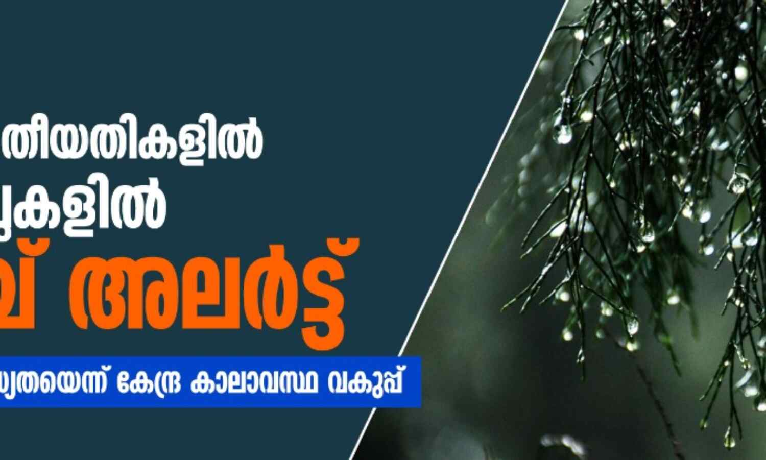 കാലവര്ഷം: ജൂണ് 02, 03 തീയതികളില് വിവിധ ജില്ലകളില് ഓറഞ്ച് അലര്ട്ട്; വ്യാപക മഴയക്ക് സാധ്യതയെന്ന് കേന്ദ്ര കാലാവസ്ഥ വകുപ്പ് കാലവര്ഷം: ജൂണ് 02, 03 തീയതികളില് വിവിധ ജില്ലകളില് ഓറഞ്ച് അലര്ട്ട്; വ്യാപക മഴയക്ക് സാധ്യതയെന്ന് കേന്ദ്ര കാലാവസ്ഥ വകുപ്പ്