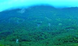 ഉരുള്‍പൊട്ടല്‍ ഭീതിയില്‍ ചെക്കുന്ന് മല;  ജനങ്ങളെ മാറ്റിപ്പാര്‍പ്പിക്കണമെന്ന ആവശ്യം ശക്തമാകുന്നു