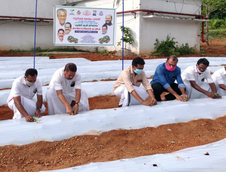 സുഭിക്ഷ കേരളം പദ്ധതി: കെ കരുണാകരന് സ്മാരക കോ-ഓപറേറ്റീവ് സ്പിന്നിങ് മില് ഭൂമിയില് പച്ചക്കറി കൃഷി സുഭിക്ഷ കേരളം പദ്ധതി: കെ കരുണാകരന് സ്മാരക കോ-ഓപറേറ്റീവ് സ്പിന്നിങ് മില് ഭൂമിയില് പച്ചക്കറി കൃഷി