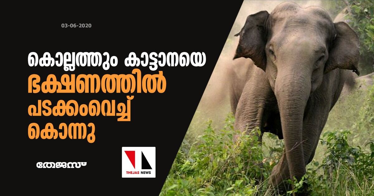 കൊല്ലത്തും കാട്ടാനയെ ഭക്ഷണത്തില്‍ പടക്കംവെച്ച് കൊന്നു