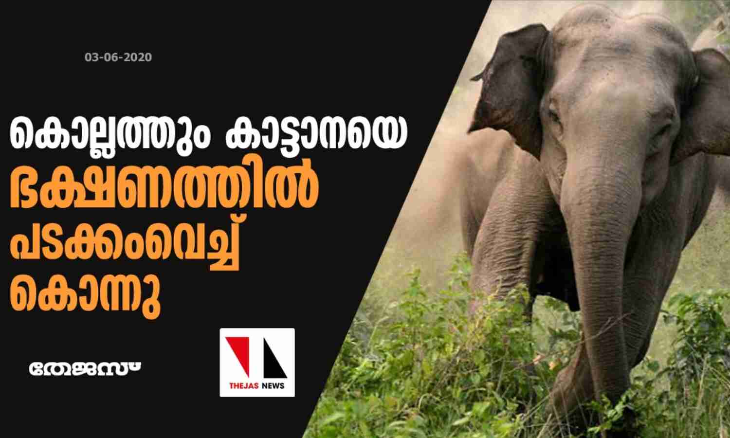 കൊല്ലത്തും കാട്ടാനയെ ഭക്ഷണത്തില് പടക്കംവെച്ച് കൊന്നു കൊല്ലത്തും കാട്ടാനയെ ഭക്ഷണത്തില് പടക്കംവെച്ച് കൊന്നു