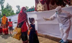 เดเดกเตเดทเดฏเดฟเดฒเตโ 143 เดชเตเดฐเตโเดเตเดเต เดเตเดเดฟ เดเตเดตเดฟเดกเต-19 เดธเตเดฅเดฟเดฐเตเดเดฐเดฟเดเตเดเต; เดเดเต เดฐเตเดเดฟเดเดณเตโ 2,388 เดเดกเตเดทเดฏเดฟเดฒเตโ 143 เดชเตเดฐเตโเดเตเดเต เดเตเดเดฟ เดเตเดตเดฟเดกเต-19 เดธเตเดฅเดฟเดฐเตเดเดฐเดฟเดเตเดเต; เดเดเต เดฐเตเดเดฟเดเดณเตโ 2,388