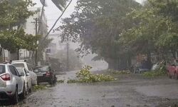 เดฎเดนเดพเดฐเดพเดทเตเดเตเดฐ เดคเตเดฐเดเตเดเดณเดฟเดฒเตโ เดจเดฟเดธเดฐเตโเด เดเดเตเดเดเดฟเดเตเดเตเดจเตเดจเต; เดธเดฐเตโเดเตเดเดพเดฐเตโ เดเดพเดเตเดฐเดคเดพ เดจเดฟเดฐเตโเดฆเตเดถเด เดชเตเดฑเดชเตเดชเตเดเตเดตเดฟเดเตเดเต เดฎเดนเดพเดฐเดพเดทเตเดเตเดฐ เดคเตเดฐเดเตเดเดณเดฟเดฒเตโ เดจเดฟเดธเดฐเตโเด เดเดเตเดเดเดฟเดเตเดเตเดจเตเดจเต; เดธเดฐเตโเดเตเดเดพเดฐเตโ เดเดพเดเตเดฐเดคเดพ เดจเดฟเดฐเตโเดฆเตเดถเด เดชเตเดฑเดชเตเดชเตเดเตเดตเดฟเดเตเดเต