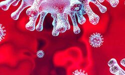 സര്ക്കാരിന്റെ കരുതലില് കൊവിഡ് മുക്തരായ 10 പേര് കൂടി ആശുപത്രി വിട്ടു സര്ക്കാരിന്റെ കരുതലില് കൊവിഡ് മുക്തരായ 10 പേര് കൂടി ആശുപത്രി വിട്ടു