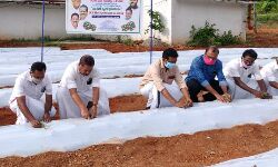 സുഭിക്ഷ കേരളം പദ്ധതി: കെ കരുണാകരന്‍ സ്മാരക കോ-ഓപറേറ്റീവ് സ്പിന്നിങ് മില്‍ ഭൂമിയില്‍ പച്ചക്കറി കൃഷി
