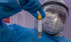 വയനാട്ടില്‍ ഒരാള്‍ക്ക് രോഗമുക്തി; ചികില്‍സയില്‍ 22 പേര്‍