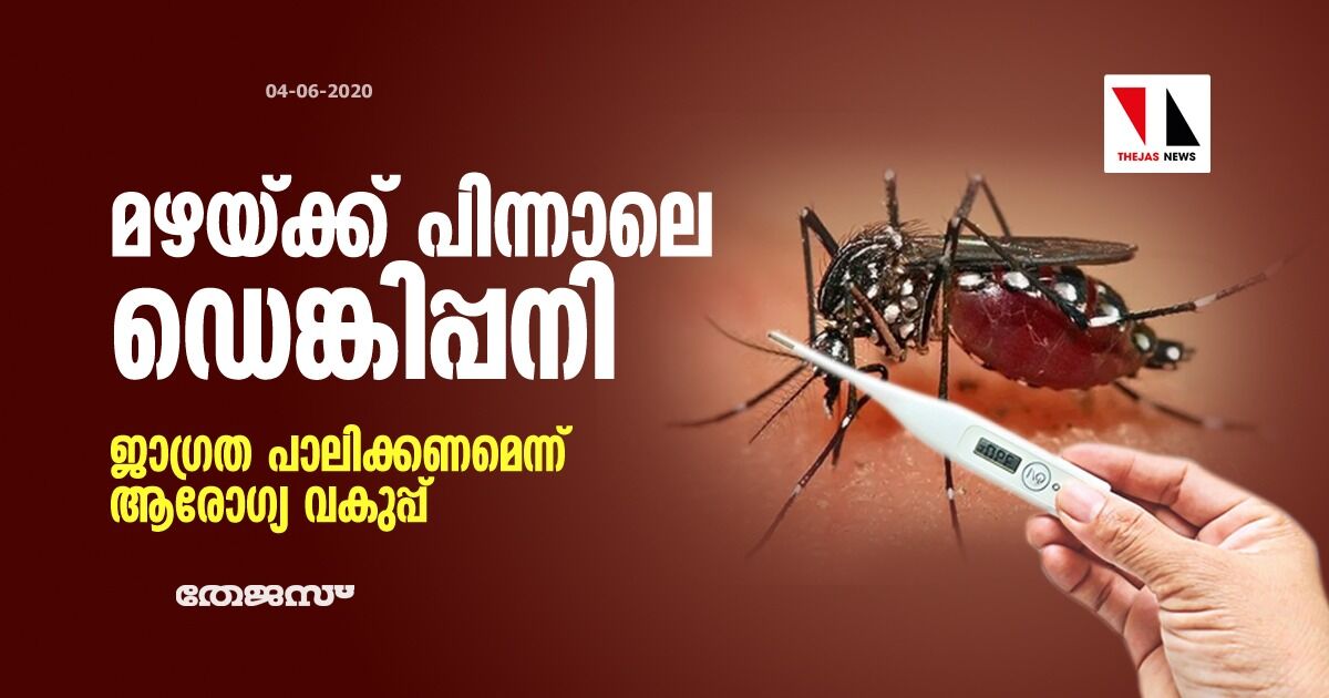 മഴയ്ക്ക് പിന്നാലെ ഡെങ്കിപ്പനി: ജാഗ്രത പാലിക്കണമെന്ന് ആരോഗ്യ വകുപ്പ്