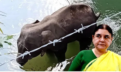 മലപ്പുറം ജില്ലയെ അപകീര്ത്തിപ്പെടുത്തുന്നതിനെതിരേ സേവ് മലപ്പുറം ഫോറം മലപ്പുറം ജില്ലയെ അപകീര്ത്തിപ്പെടുത്തുന്നതിനെതിരേ സേവ് മലപ്പുറം ഫോറം