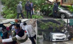 നിസര്‍ഗ: മഹാരാഷ്ട്രയില്‍ മൂന്ന് മരണം; 4 ജില്ലകളില്‍ വൈദ്യുതി വിതരണം മുടങ്ങി