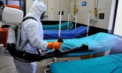 കൊവിഡ് 19: രാജ്യത്ത് 24 മണിക്കൂറിനുള്ളില് 9,304 പേര്ക്ക് രോഗം സ്ഥിരീകരിച്ചു; മരണം 260 കൊവിഡ് 19: രാജ്യത്ത് 24 മണിക്കൂറിനുള്ളില് 9,304 പേര്ക്ക് രോഗം സ്ഥിരീകരിച്ചു; മരണം 260