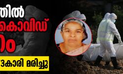 കേരളത്തില്‍ വീണ്ടും കൊവിഡ് മരണം; പാലക്കാട്ട് 73കാരി മരിച്ചു