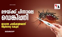 เดฎเดดเดฏเตเดเตเดเต เดชเดฟเดจเตเดจเดพเดฒเต เดกเตเดเตเดเดฟเดชเตเดชเดจเดฟ: เดเดพเดเตเดฐเดค เดชเดพเดฒเดฟเดเตเดเดฃเดฎเตเดจเตเดจเต เดเดฐเตเดเตเดฏ เดตเดเตเดชเตเดชเต เดฎเดดเดฏเตเดเตเดเต เดชเดฟเดจเตเดจเดพเดฒเต เดกเตเดเตเดเดฟเดชเตเดชเดจเดฟ: เดเดพเดเตเดฐเดค เดชเดพเดฒเดฟเดเตเดเดฃเดฎเตเดจเตเดจเต เดเดฐเตเดเตเดฏ เดตเดเตเดชเตเดชเต