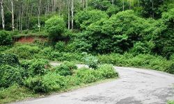 അതിര്‍ത്തിക്കപ്പുറത്ത് കുടുങ്ങിയ സ്ഥിരതാമസക്കാര്‍ക്ക് അട്ടപ്പാടിയിലേക്ക് പ്രവേശിക്കാന്‍ അനുമതി