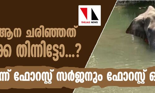 പാലക്കാട്ട് ആന ചരിഞ്ഞത് കൈതച്ചക്ക തിന്നിട്ടോ...?; തെളിവില്ലെന്ന് ഫോറസ്റ്റ് സര്ജനും ഫോറസ്റ്റ് ഓഫിസറും പാലക്കാട്ട് ആന ചരിഞ്ഞത് കൈതച്ചക്ക തിന്നിട്ടോ...?; തെളിവില്ലെന്ന് ഫോറസ്റ്റ് സര്ജനും ഫോറസ്റ്റ് ഓഫിസറും