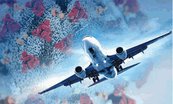 കൊവിഡ് 19: അബുദബിയില്‍ നിന്നും 186 പ്രവാസികള്‍ കൂടി മടങ്ങിയെത്തി