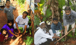 എസ്ഡിപിഐ പരിസ്ഥിതി ദിനാചരണം