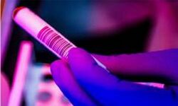 เดเตเดตเดฟเดกเต 19: เดเดกเตเดทเดฏเดฟเดฒเตโ 24 เดฎเดฃเดฟเดเตเดเตเดฑเดฟเดจเตเดณเตเดณเดฟเดฒเตโ เดฐเตเดเด เดธเตเดฅเดฟเดฐเตเดเดฐเดฟเดเตเดเดคเต 130 เดชเตเดฐเตโเดเตเดเต เดเตเดตเดฟเดกเต 19: เดเดกเตเดทเดฏเดฟเดฒเตโ 24 เดฎเดฃเดฟเดเตเดเตเดฑเดฟเดจเตเดณเตเดณเดฟเดฒเตโ เดฐเตเดเด เดธเตเดฅเดฟเดฐเตเดเดฐเดฟเดเตเดเดคเต 130 เดชเตเดฐเตโเดเตเดเต