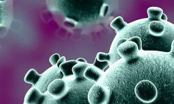 കോഴിക്കോട് ജില്ലയില് ഇന്ന് നാലു പേര്ക്ക് കൊവിഡ്; രണ്ടു പേര്ക്ക് രോഗമുക്തി; പുതുതായി 975 പേര് നിരീക്ഷണത്തില് കോഴിക്കോട് ജില്ലയില് ഇന്ന് നാലു പേര്ക്ക് കൊവിഡ്; രണ്ടു പേര്ക്ക് രോഗമുക്തി; പുതുതായി 975 പേര് നിരീക്ഷണത്തില്