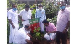 എസ്ഡിപിഐ പ്രകൃതി ജാഗ്രതാ കാംപയിന് തുടക്കമായി