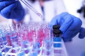 കൊവിഡ് 19: മലപ്പുറം ജില്ലയില്‍ 12 പേര്‍ക്ക് കൂടി രോഗബാധ