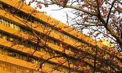 6 ഓഫിസര്‍മാര്‍ക്ക് കൊവിഡ്; എന്‍ഫോഴ്‌സ്‌മെന്റ് ഡയറക്ടറേറ്റ് ആസ്ഥാനം അടച്ചു