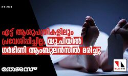 എട്ട് ആശുപത്രികളിലും പ്രവേശിപ്പിച്ചില്ല;   യുപിയില്‍ ഗര്‍ഭിണി ആംബുലന്‍സില്‍ മരിച്ചു