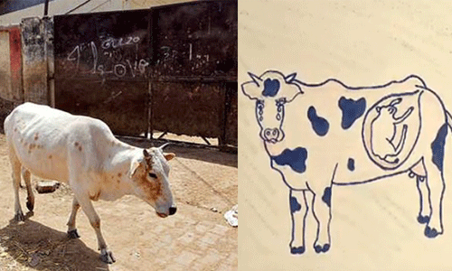 സ്‌ഫോടകവസ്തു നിറച്ച ഗോതമ്പുണ്ട കഴിച്ച ഗര്‍ഭിണിയായ പശു ചത്തു; ഒരാള്‍ അറസ്റ്റില്‍