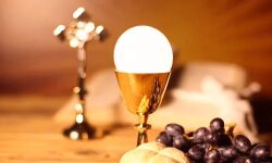 കൊവിഡ്: സമൂഹ വ്യാപനത്തിന് സാധ്യത; തുറന്നു കൊടുത്ത ആരാധനാലയങ്ങള്‍ അടച്ചിടണമെന്ന് സഭാ സുതാര്യ സമിതി