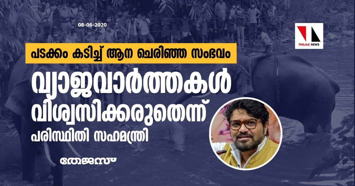 പടക്കം കടിച്ച് ആന ചെരിഞ്ഞ സംഭവം: വ്യാജവാര്‍ത്തകള്‍ വിശ്വസിക്കരുതെന്ന് കേന്ദ്രമന്ത്രി