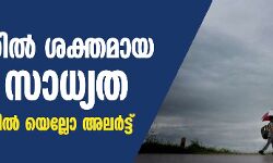 കേരളത്തില്‍ ശക്തമായ മഴക്ക് സാധ്യത; വിവിധ ജില്ലകളില്‍ യെല്ലോ അലര്‍ട്ട്